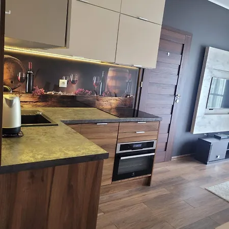 Apartament Gdansk Z Miejscem Parkingowym Esterno foto